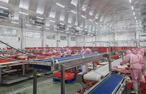 副市長陳曉強深入夏津縣食品生產(chǎn)經(jīng)營企業(yè)督導調(diào)研保健食品生產(chǎn)工作