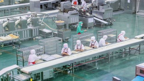 趕訂單，忙生產(chǎn) 食品生產(chǎn)線的繁忙景象
