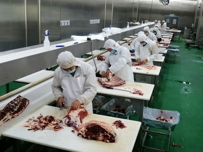 新時代的“庖丁”——新疆創錦福云食品牛肉分割與保健食品生產掠影