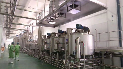 中坤食品邁入試生產新階段，預計月底全面投產引領食品產業新篇章