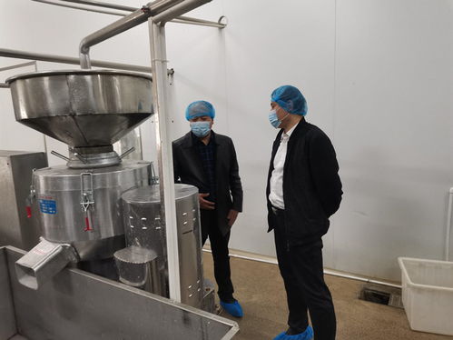 筑牢食品安全防線 市市場監管局深入我縣開展食品生產專項督導檢查