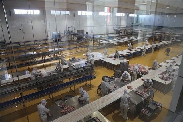 從牧場到餐桌 額爾敦羊業如何打造安全食品生產供應鏈